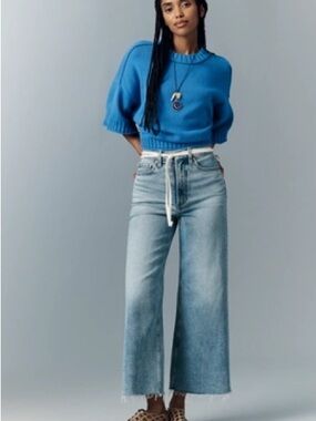 pistola Light Blue Wide-Leg Ankle Jeans (only worn two times)